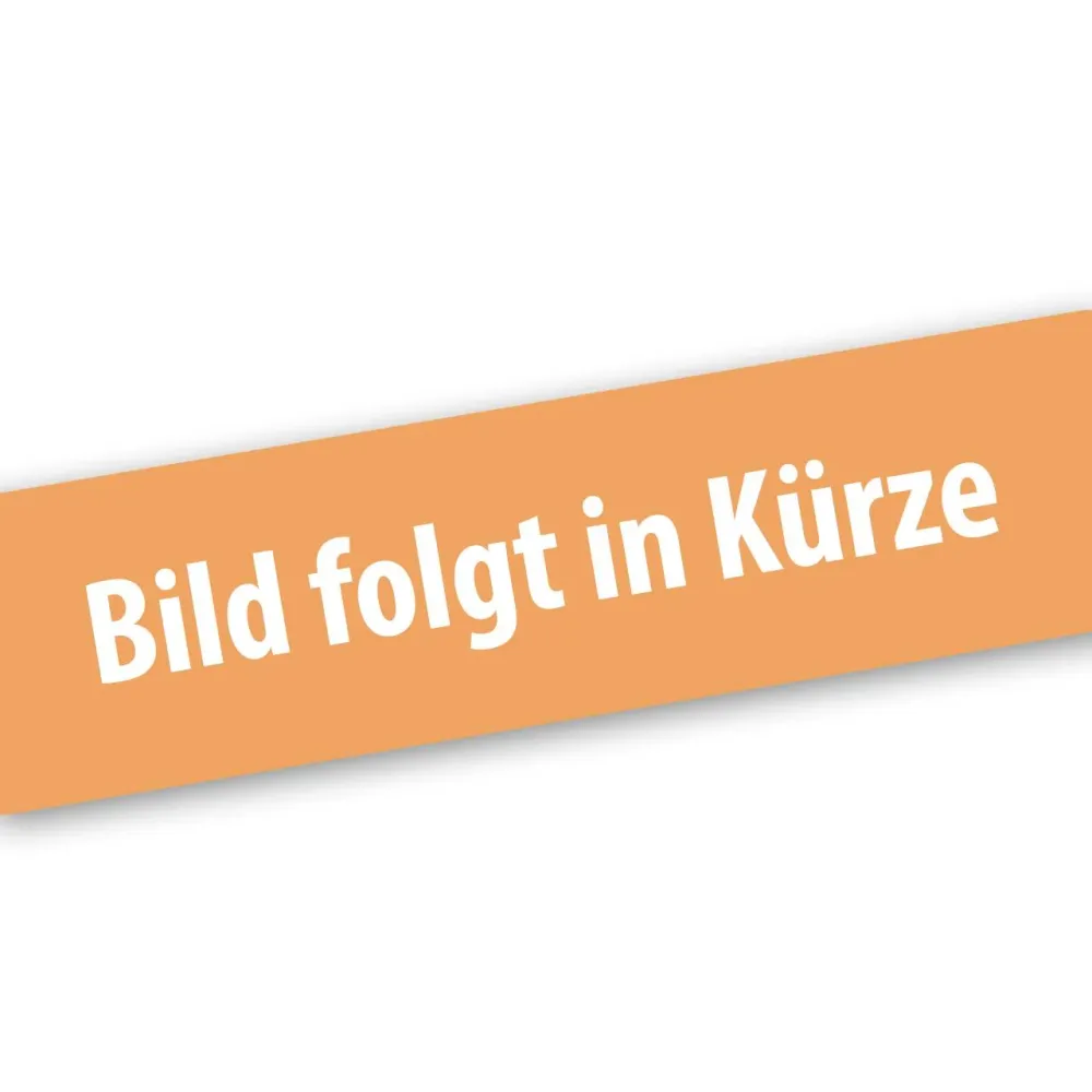 FUXTEC Vergaser für LBP165T