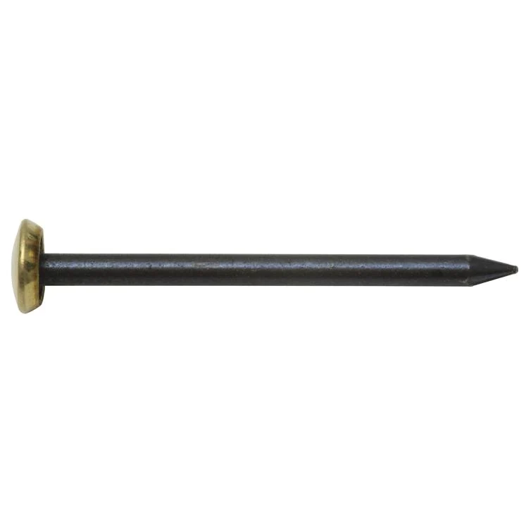 bildernägel blau messingkopf ø2,0x25 mm