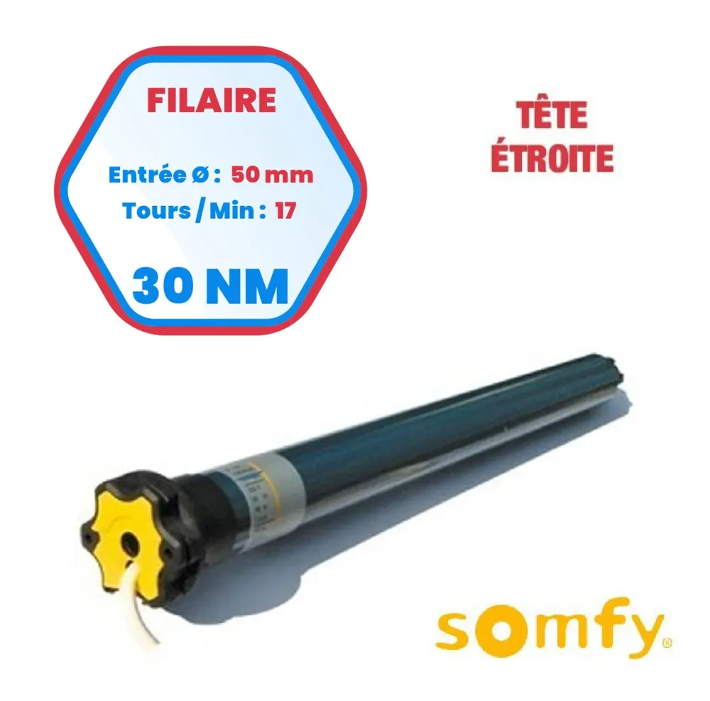 Somfy Ilmo 50 WT 30/17 TH-Motor