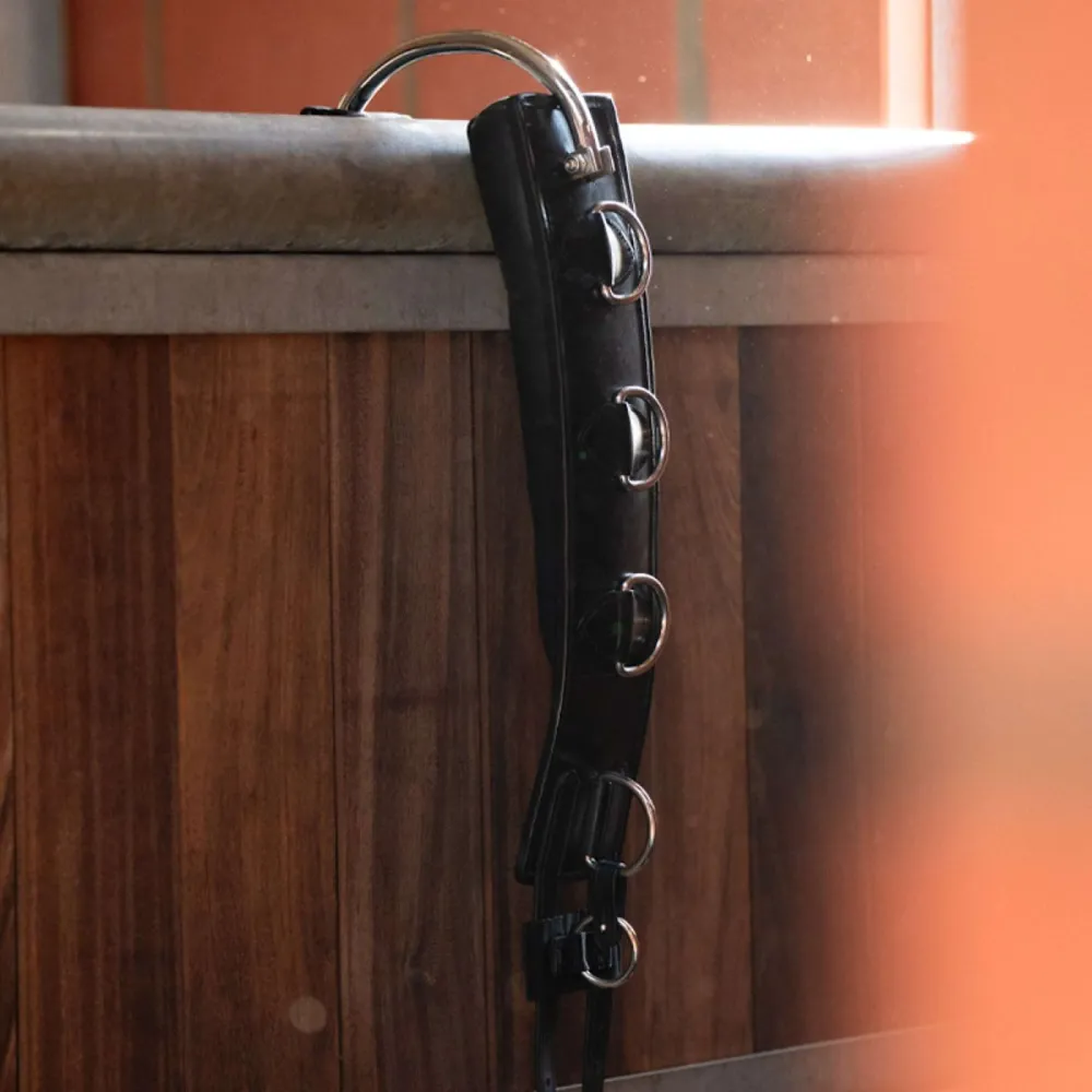 Kavalkade Longiergurt Frame Schwarz