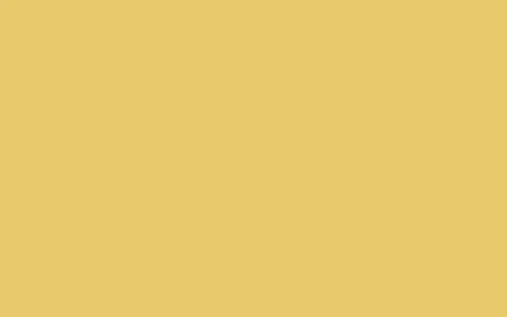 SmartGloss | Strohfarbe Nr. 44