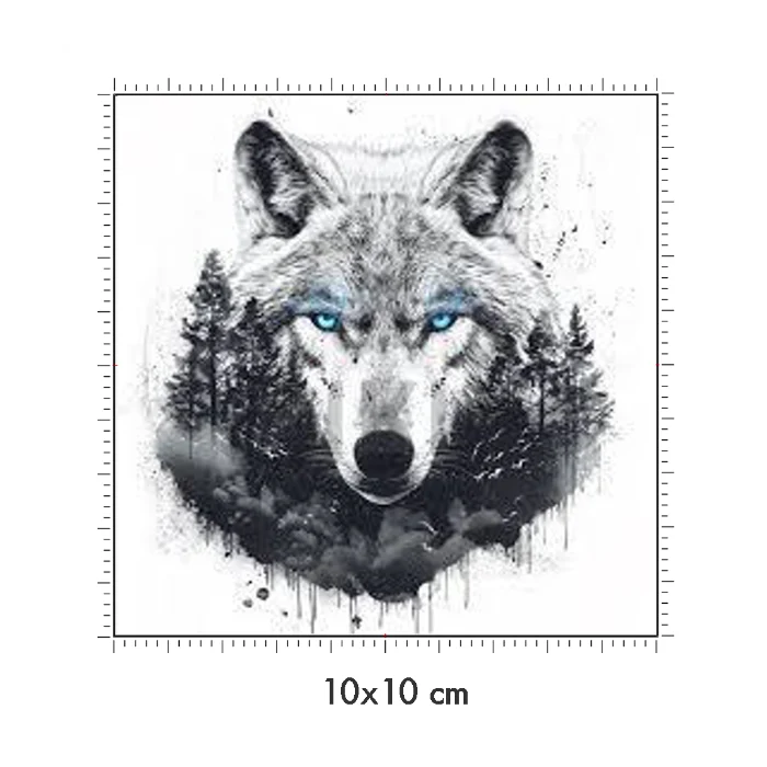 10 x 10 cm